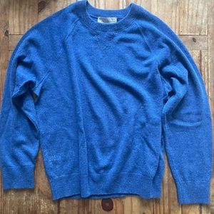 Everlane 100% Cashmere Crewneck Sweater Blue Large